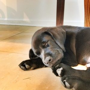 Meet your Posher, Liv